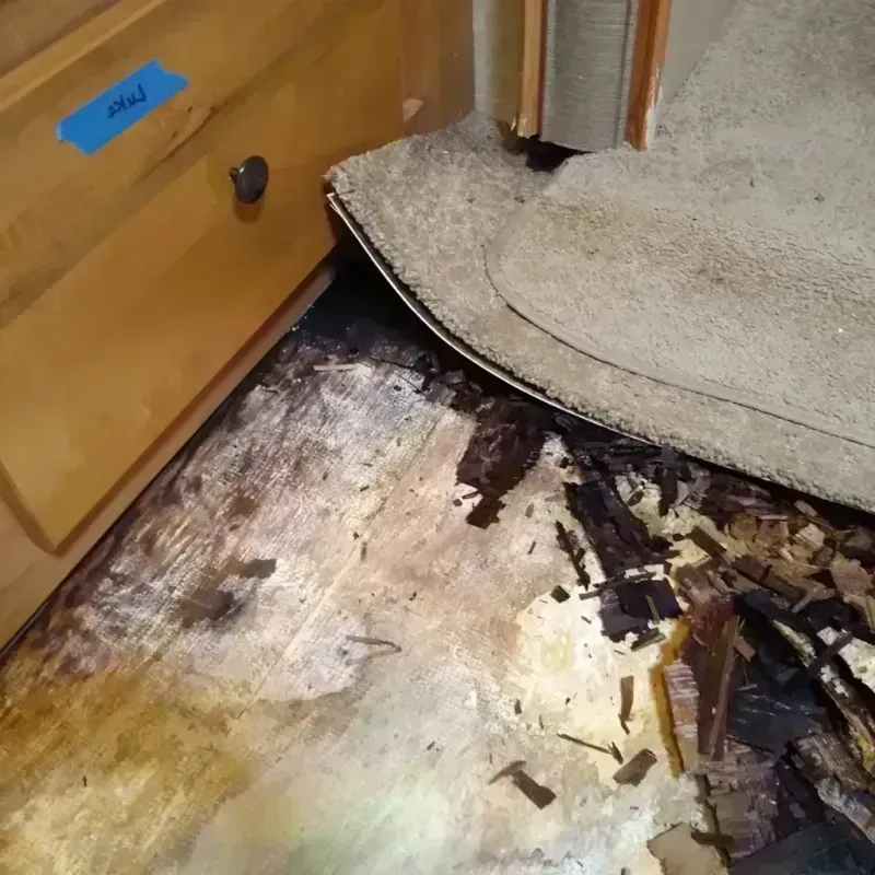 Wood Floor Water Damage in Huntington, TX